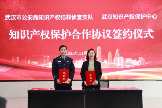 保护知识产权，武汉公安出实招